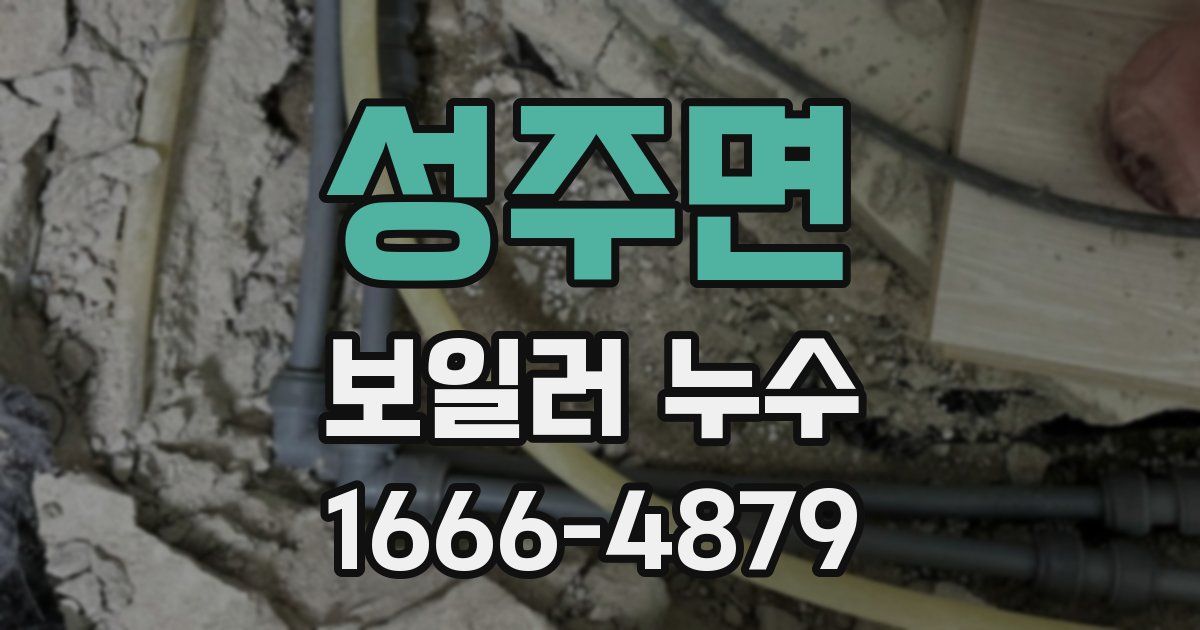 성주면 보일러 누수