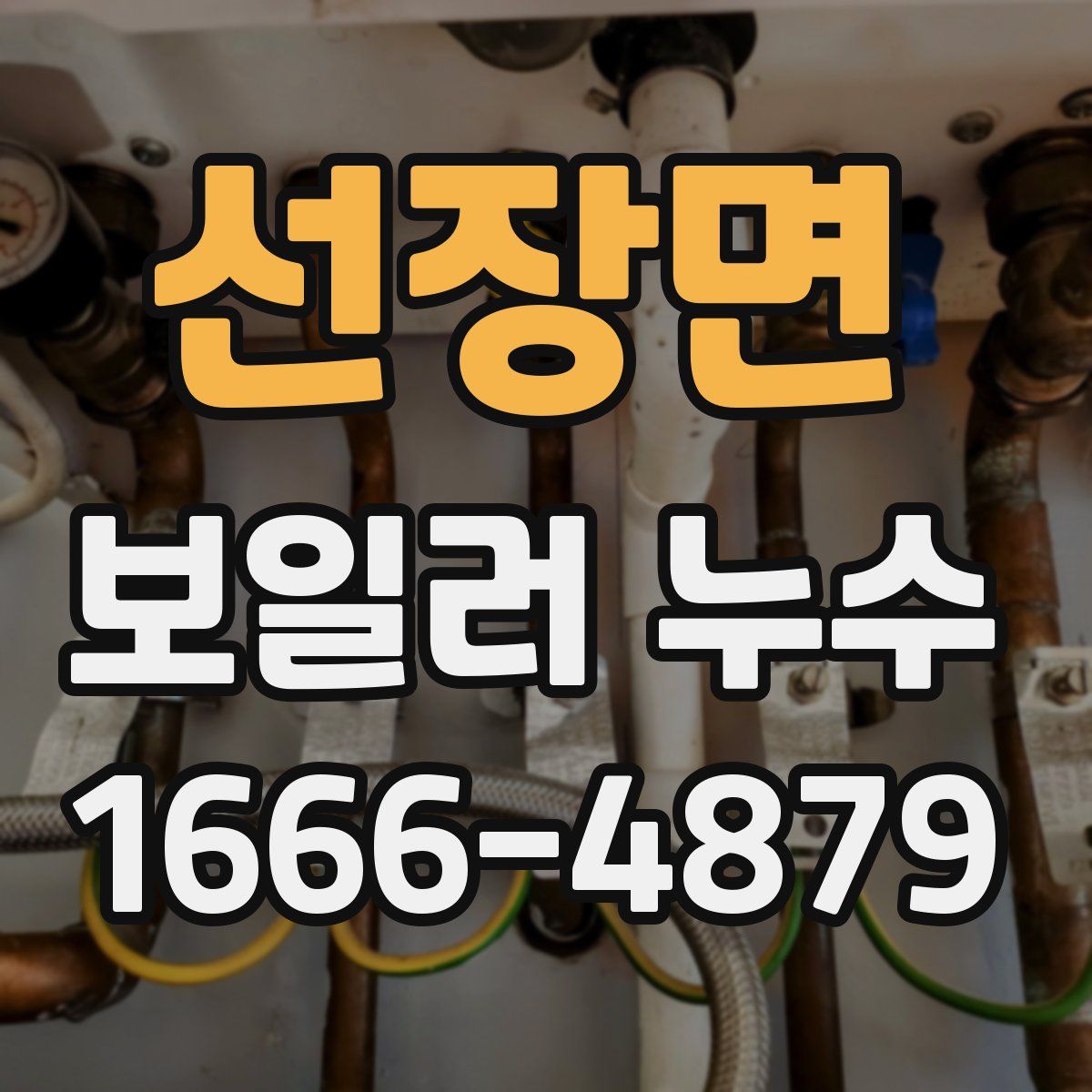 선장면 보일러 누수