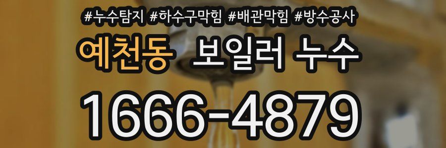 예천동 보일러 누수