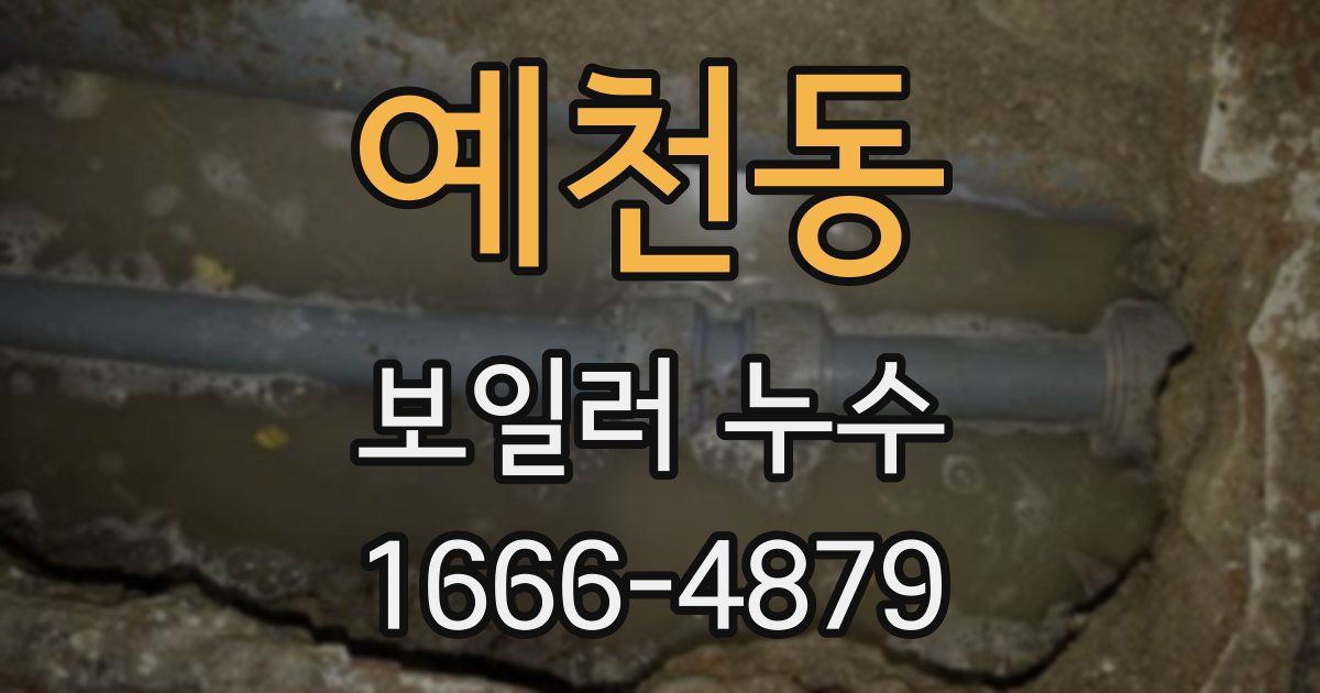 예천동 보일러 누수