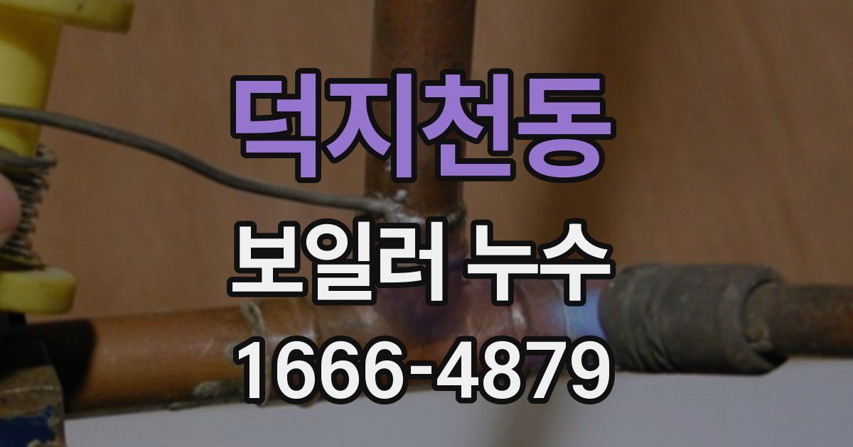 덕지천동 보일러 누수