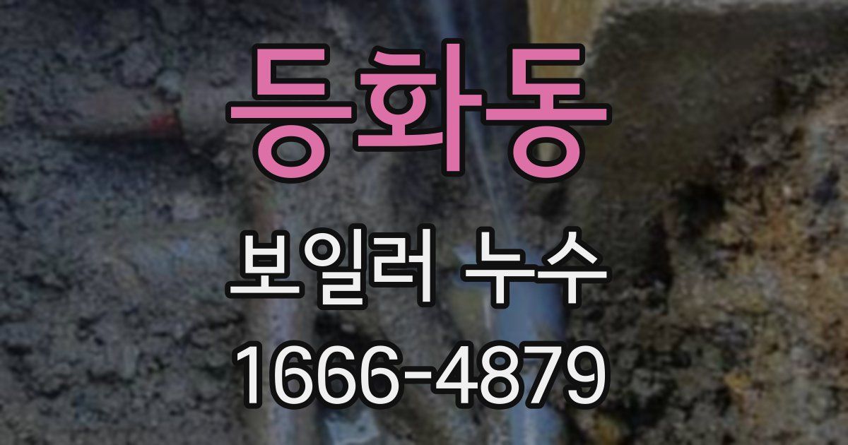 등화동 보일러 누수
