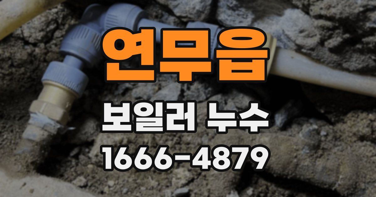 연무읍 보일러 누수