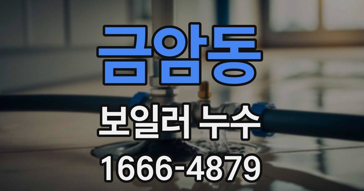 금암동 보일러 누수