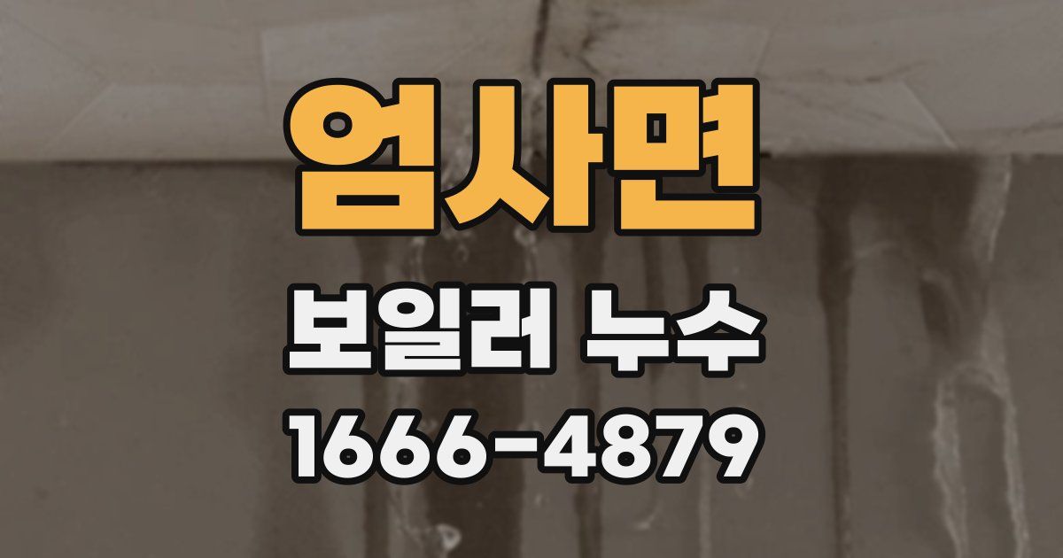 엄사면 보일러 누수