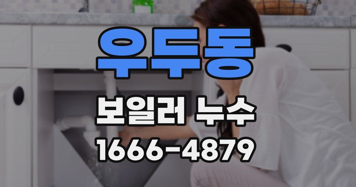 우두동 보일러 누수