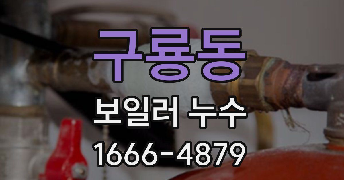 구룡동 보일러 누수