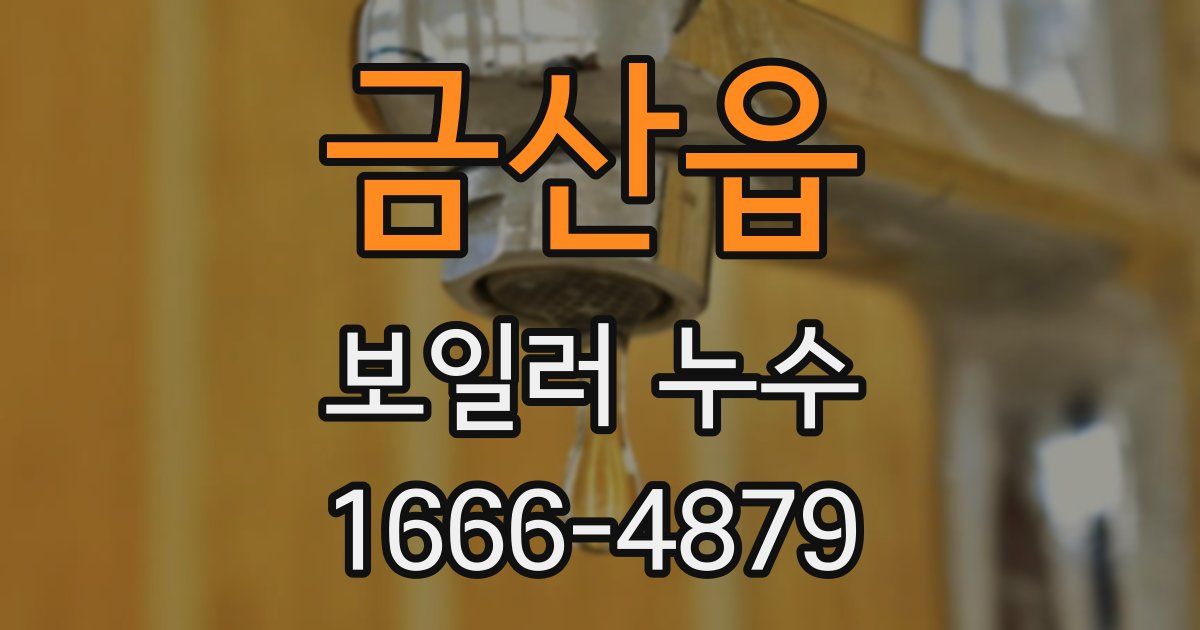 금산읍 보일러 누수