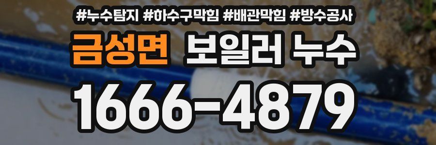금성면 보일러 누수