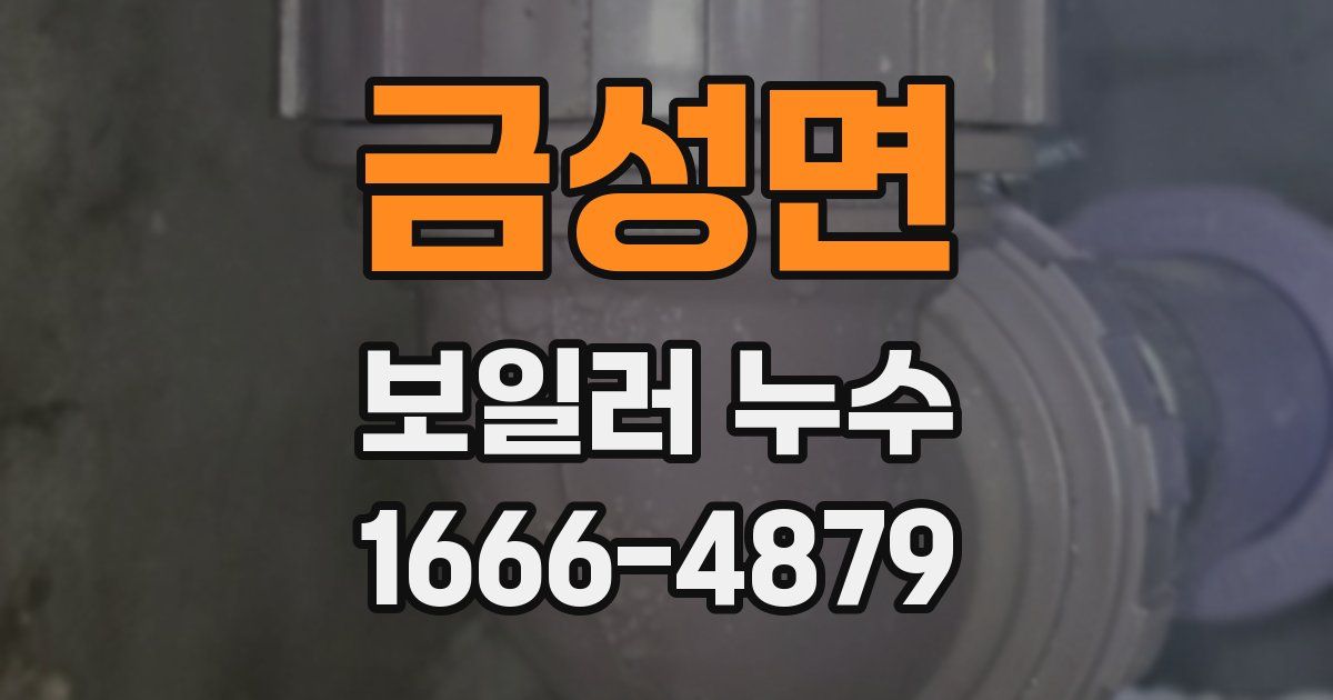 금성면 보일러 누수