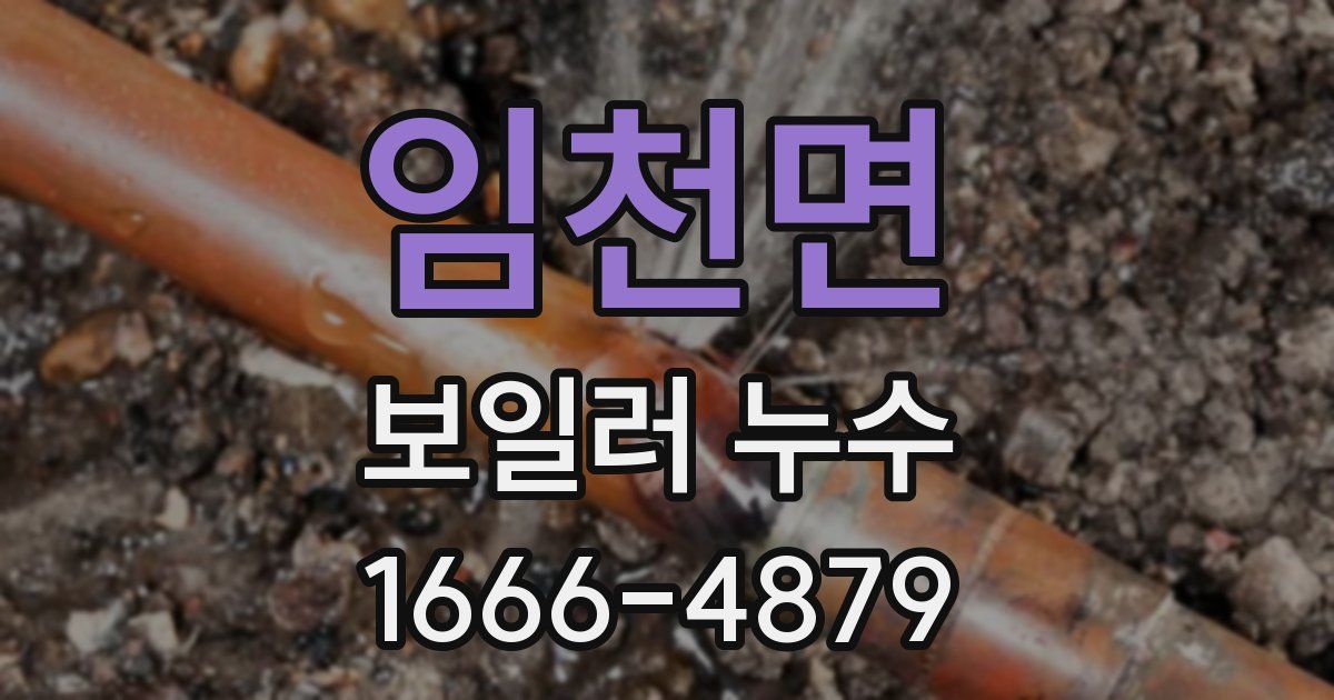 임천면 보일러 누수