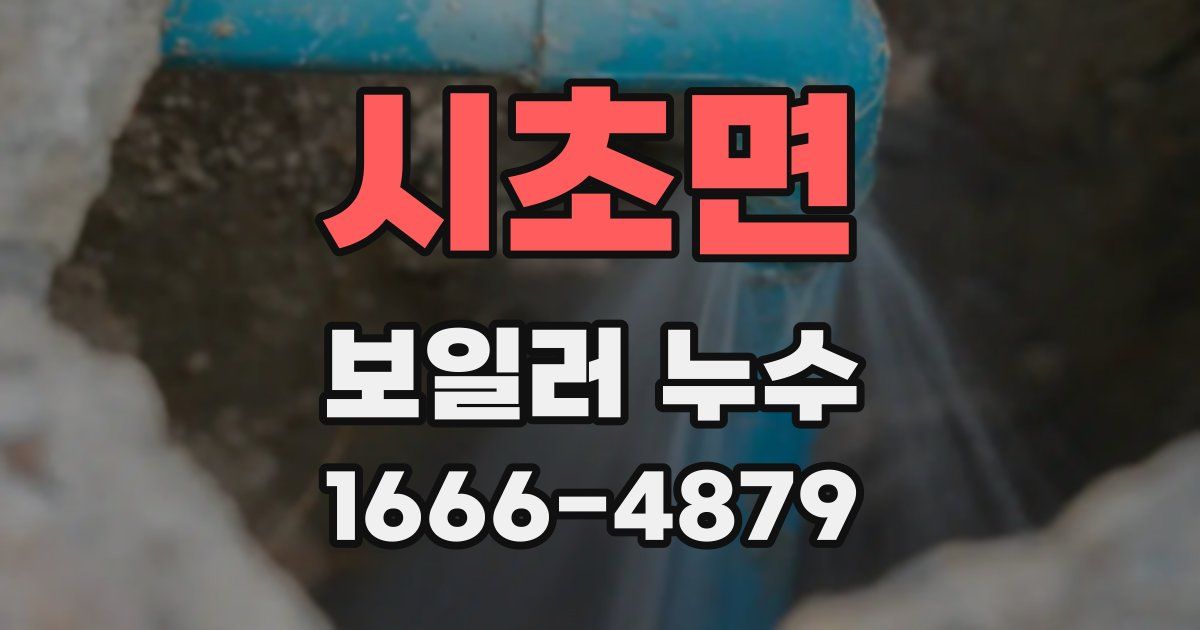 시초면 보일러 누수