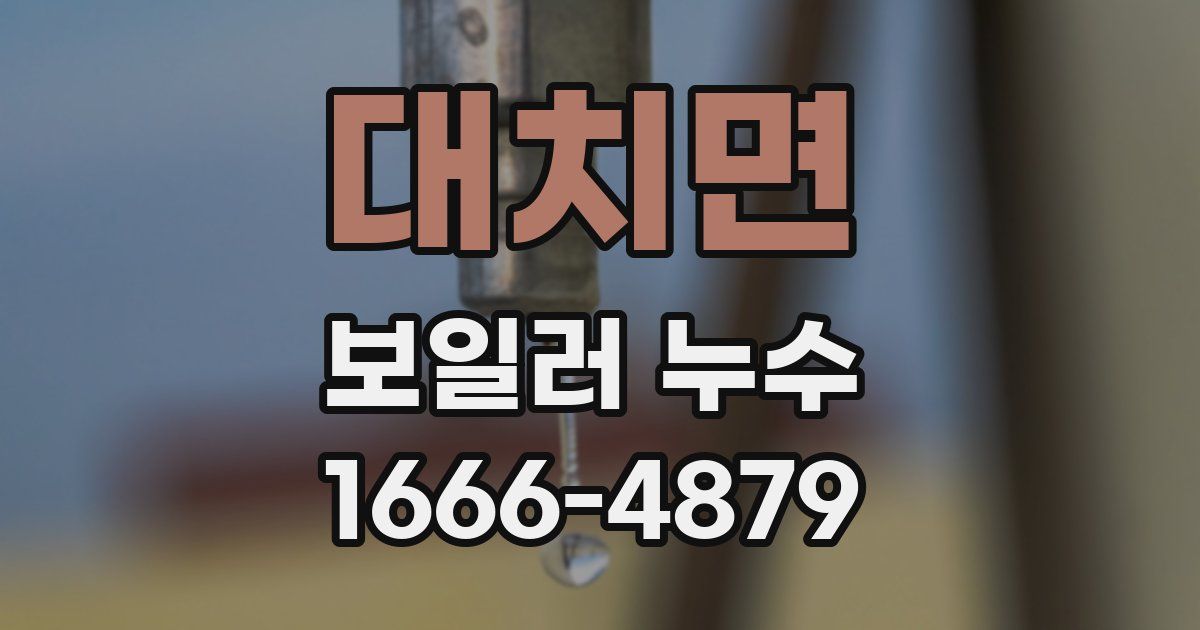 대치면 보일러 누수