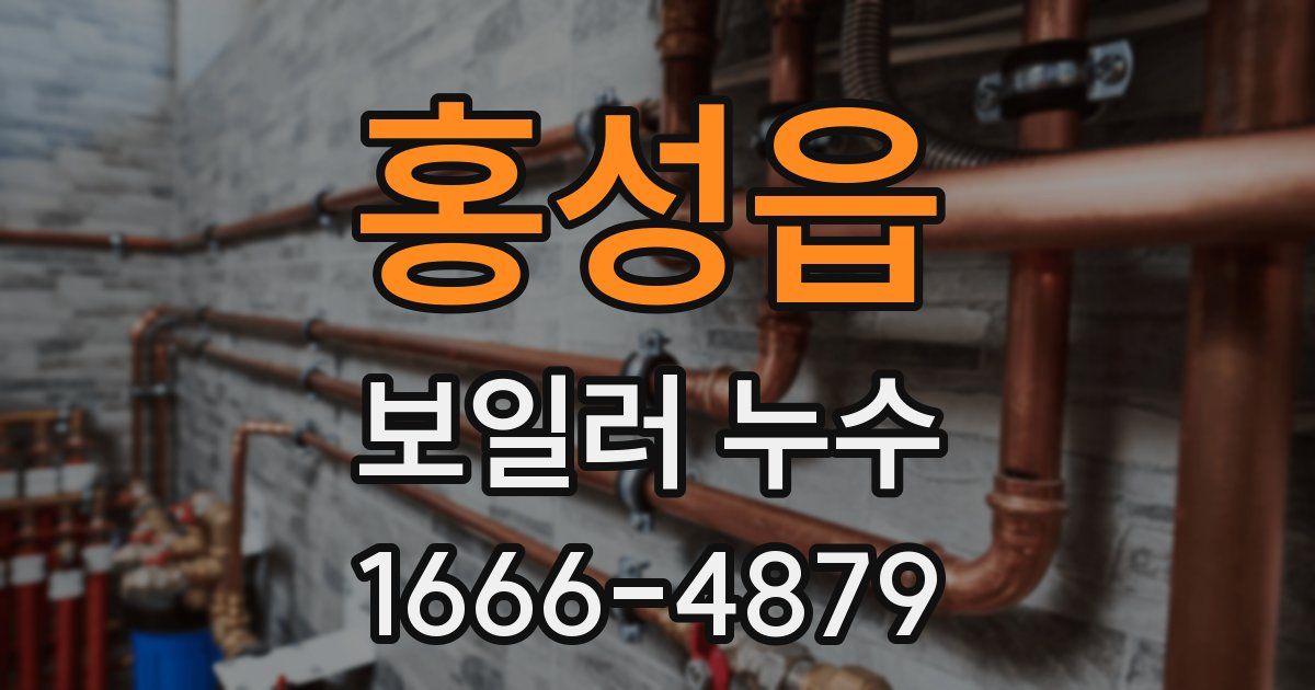 홍성읍 보일러 누수