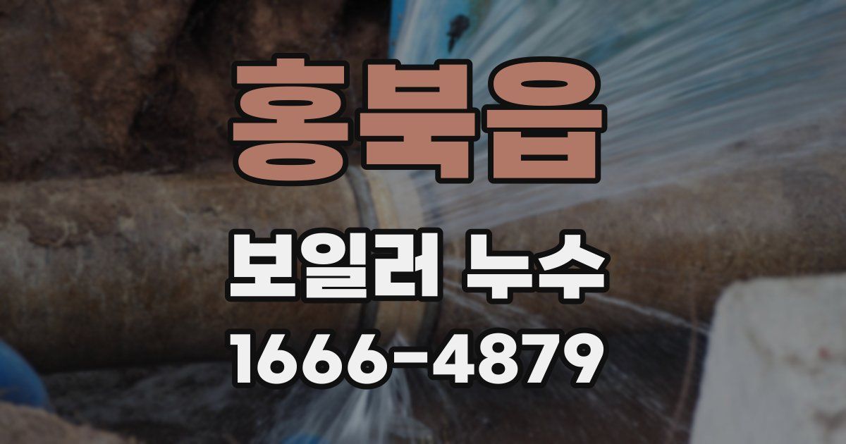 홍북읍 보일러 누수