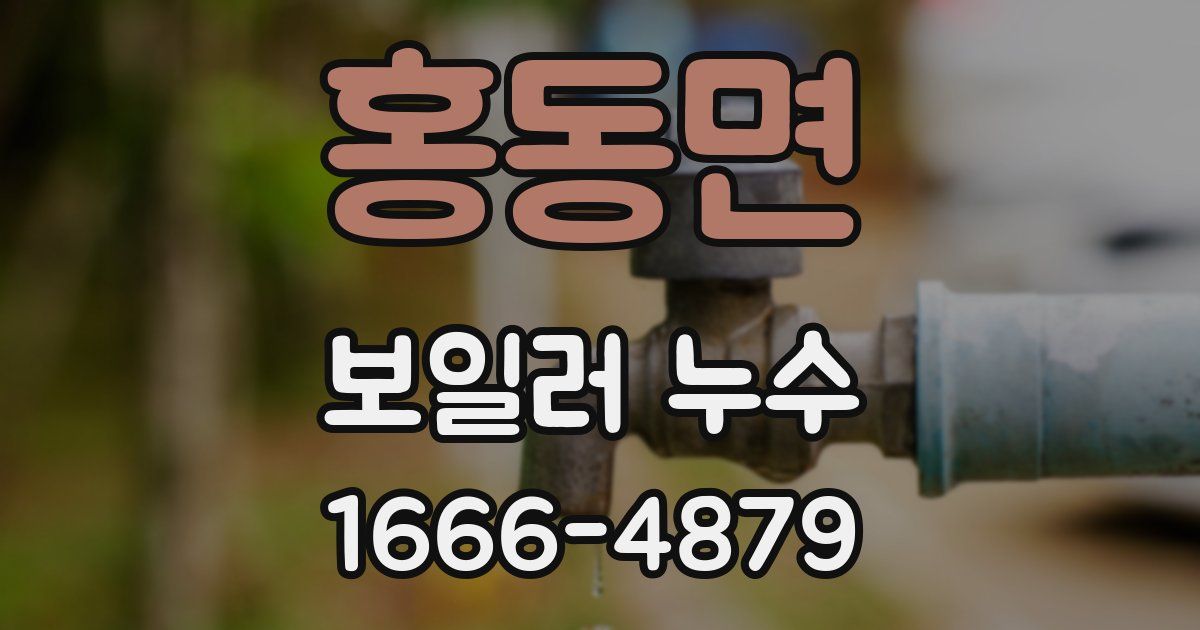 홍동면 보일러 누수