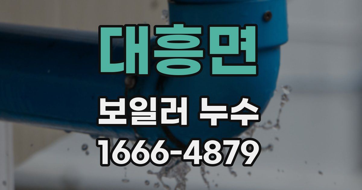 대흥면 보일러 누수