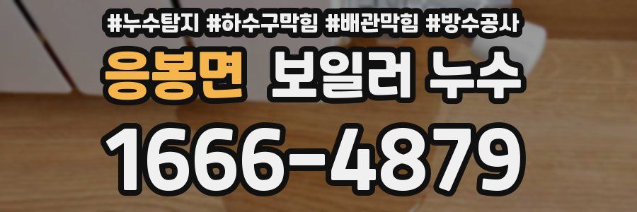 응봉면 보일러 누수