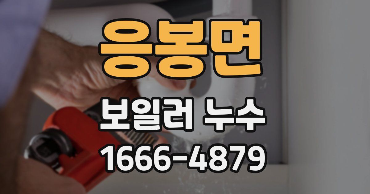 응봉면 보일러 누수