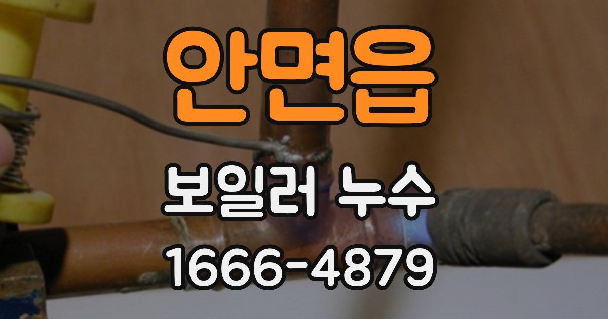 안면읍 보일러 누수