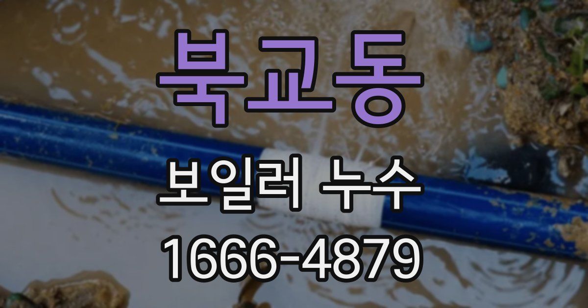 북교동 보일러 누수