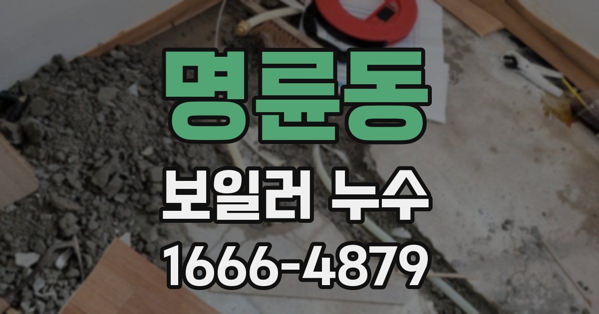명륜동 보일러 누수