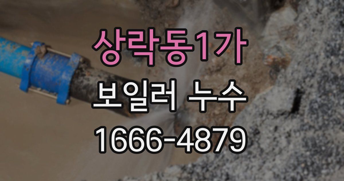 상락동1가 보일러 누수
