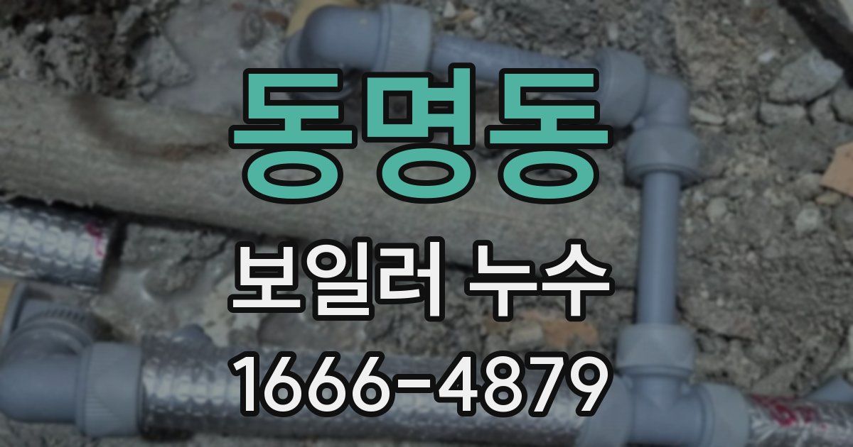동명동 보일러 누수
