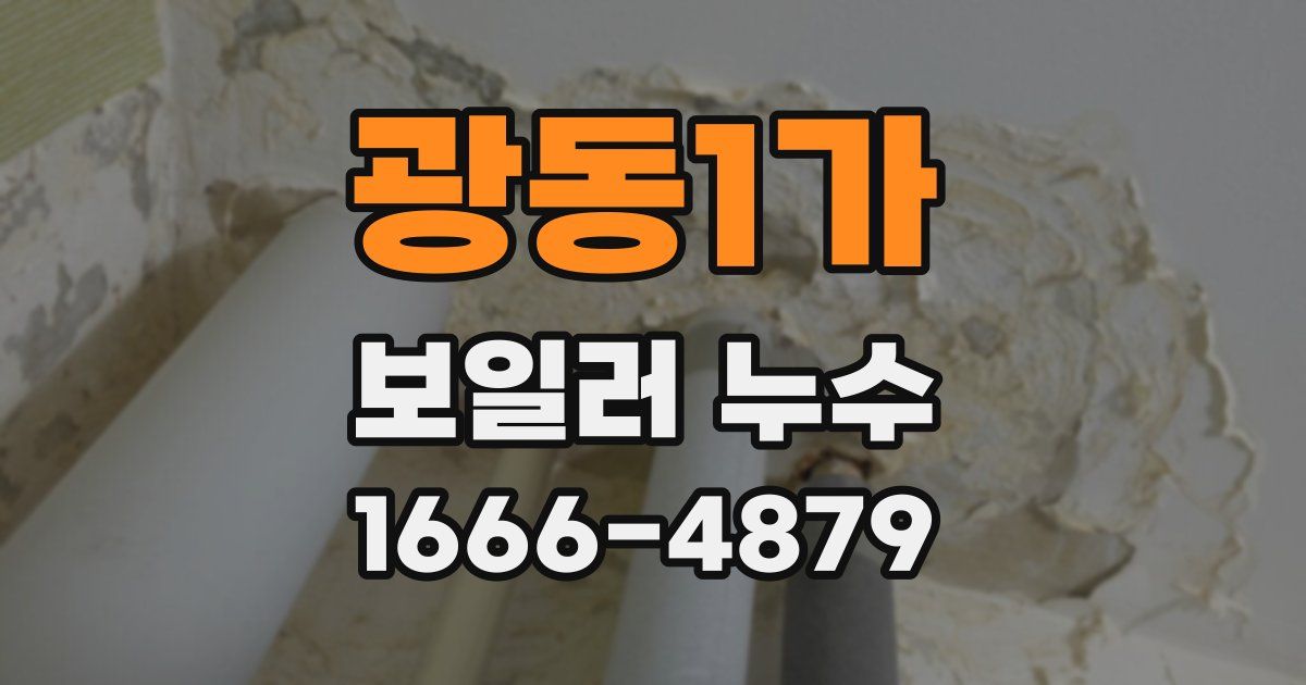 광동1가 보일러 누수