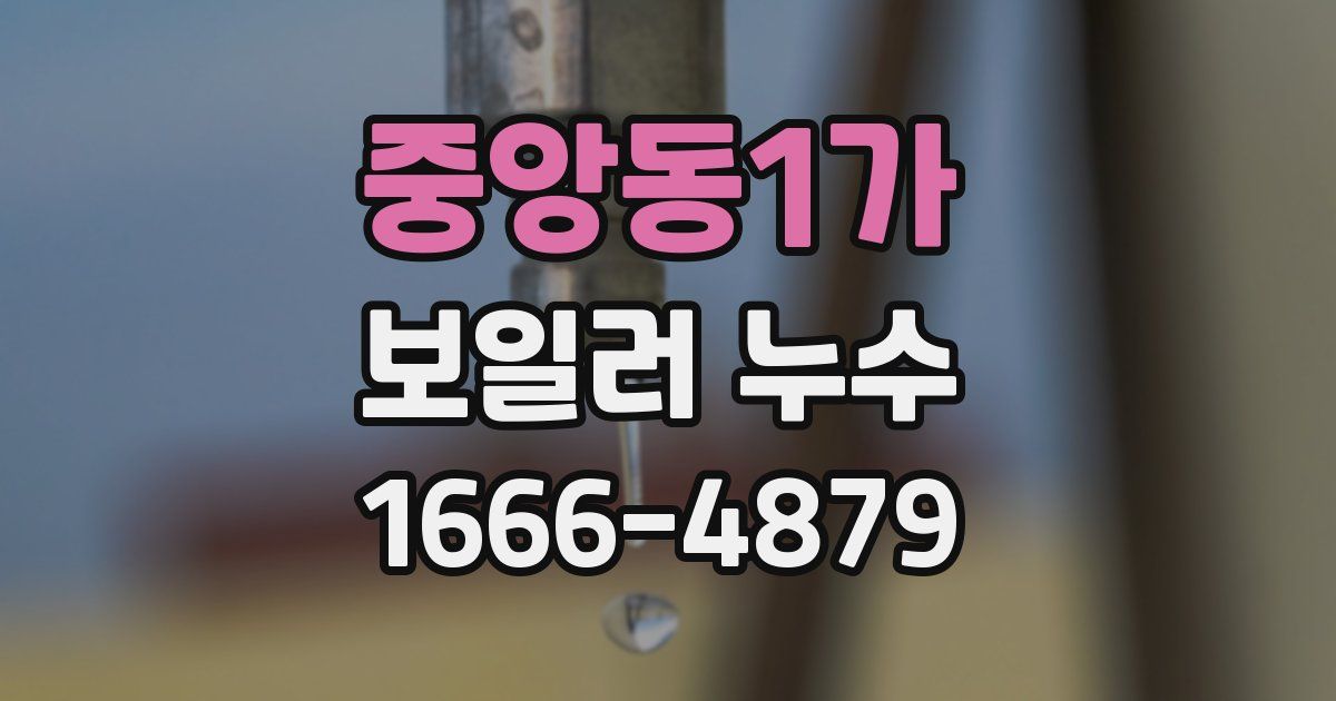 중앙동1가 보일러 누수