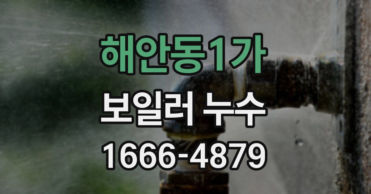 해안동1가 보일러 누수