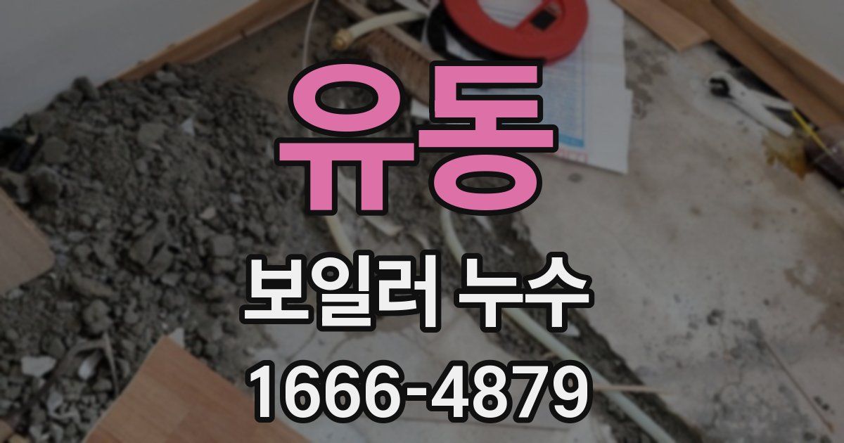 유동 보일러 누수