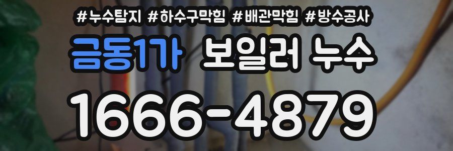 금동1가 보일러 누수