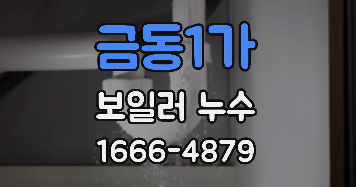금동1가 보일러 누수