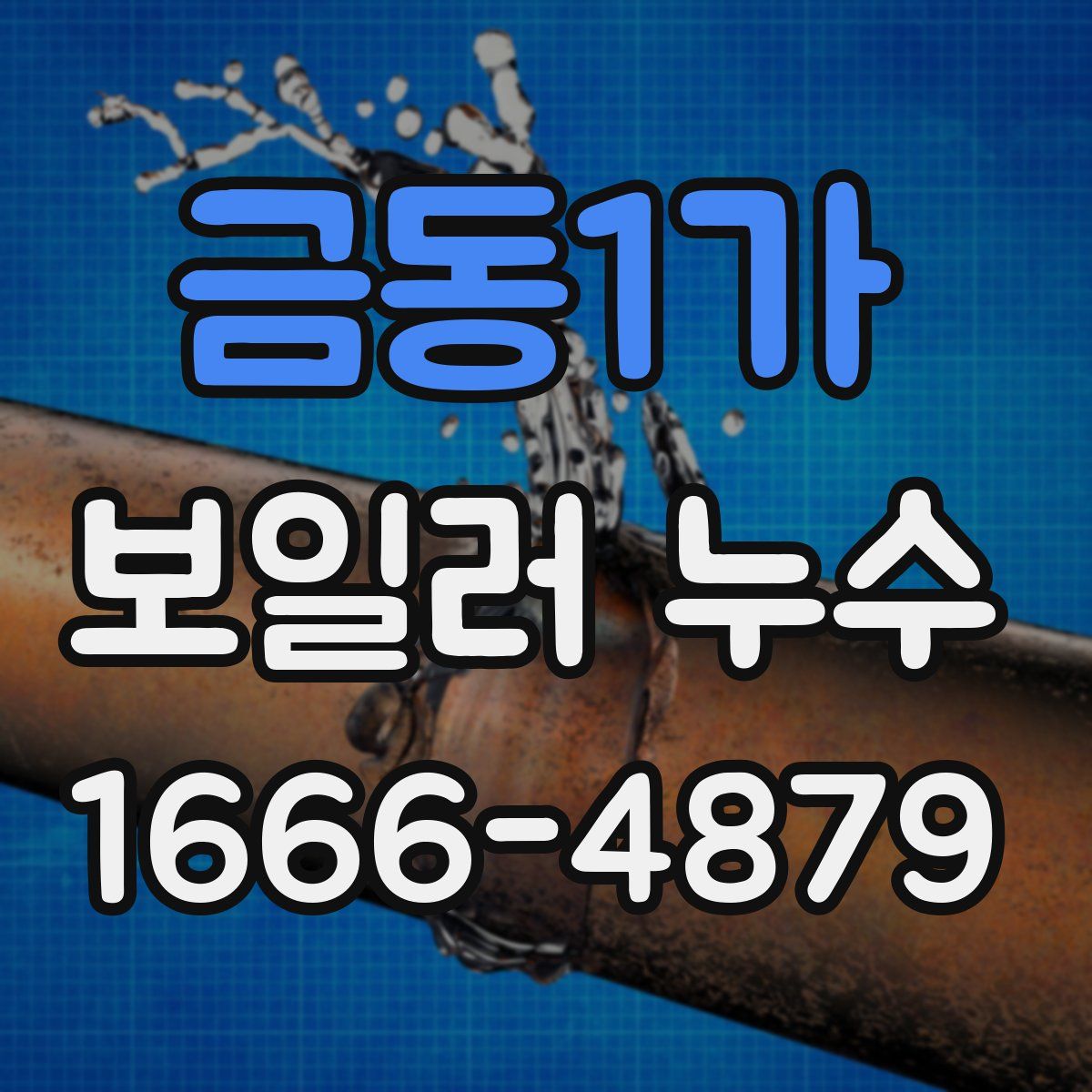금동1가 보일러 누수