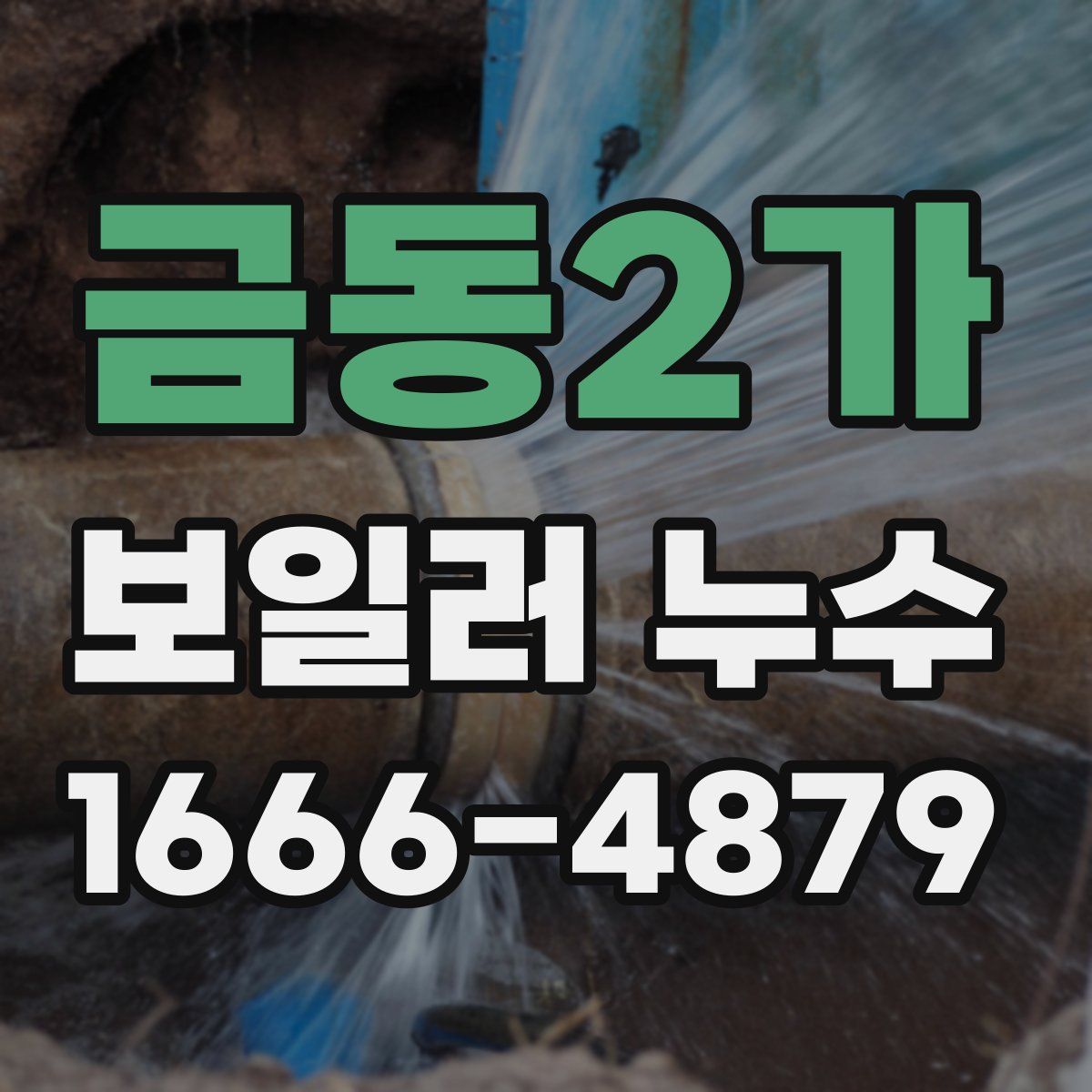 금동2가 보일러 누수