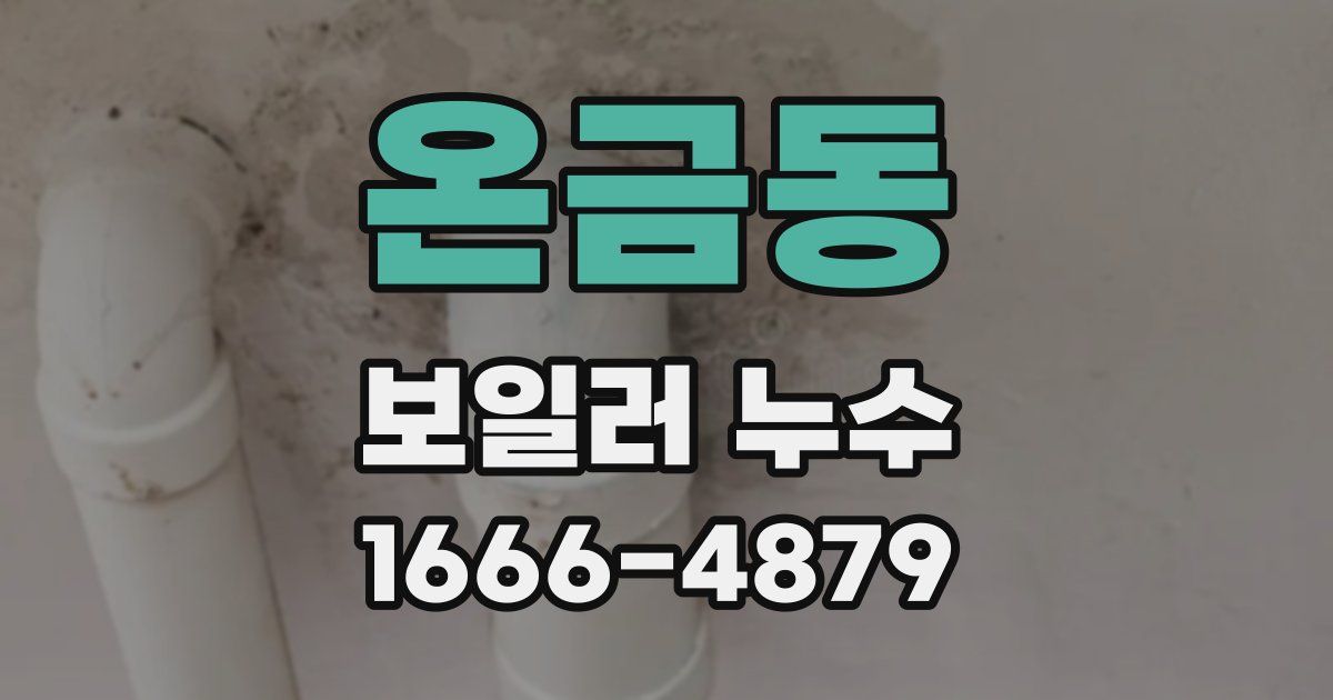 온금동 보일러 누수