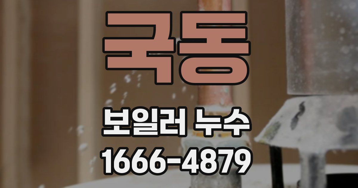 국동 보일러 누수