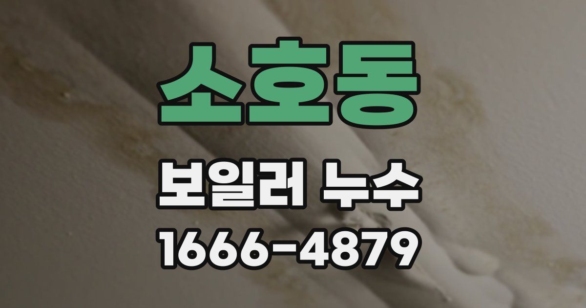 소호동 보일러 누수