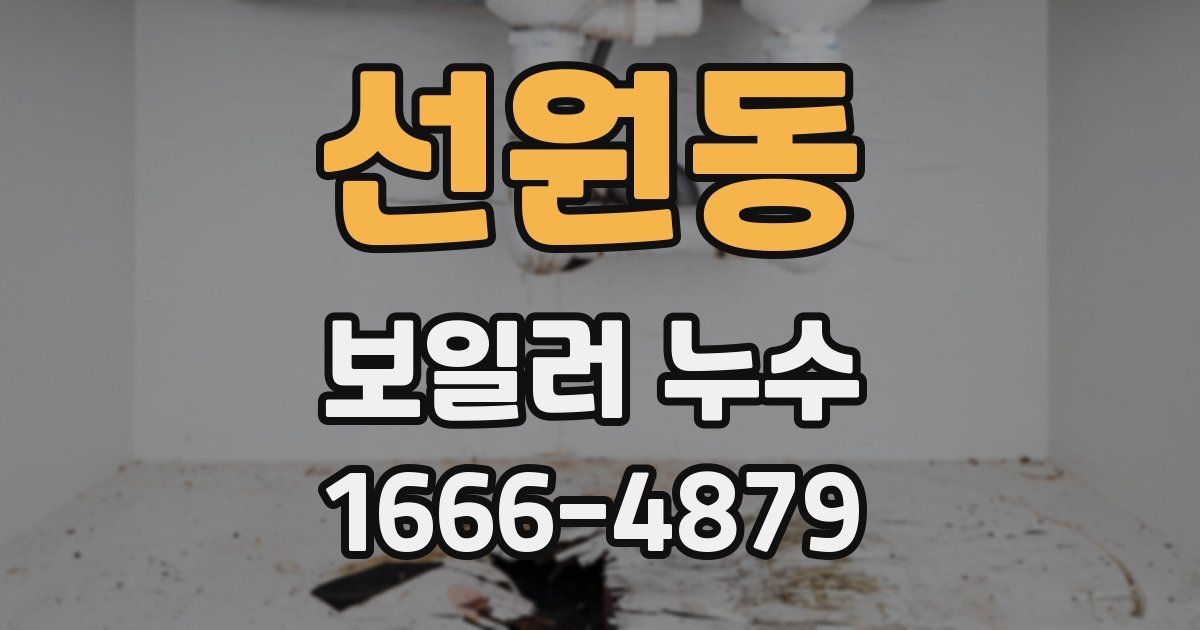 선원동 보일러 누수