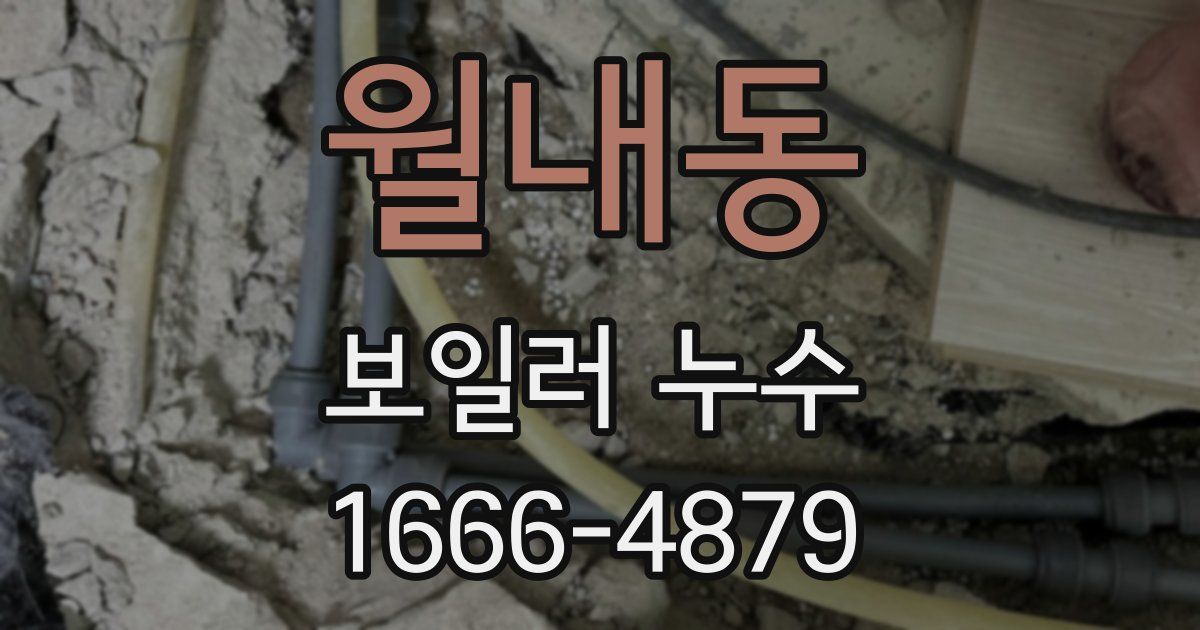월내동 보일러 누수