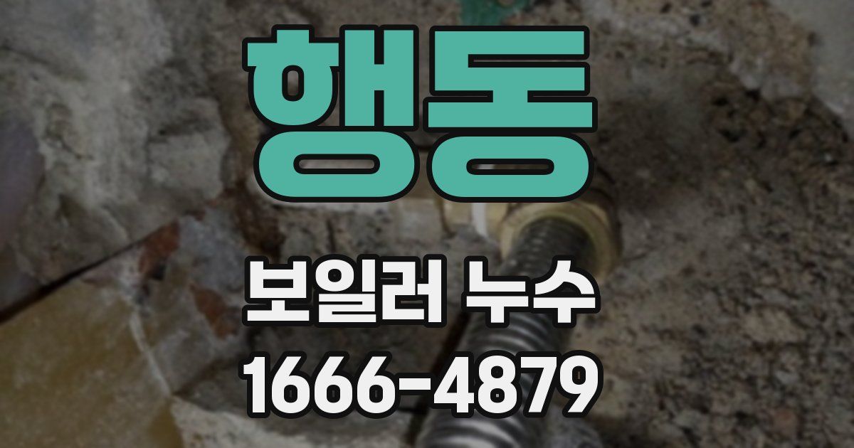 행동 보일러 누수
