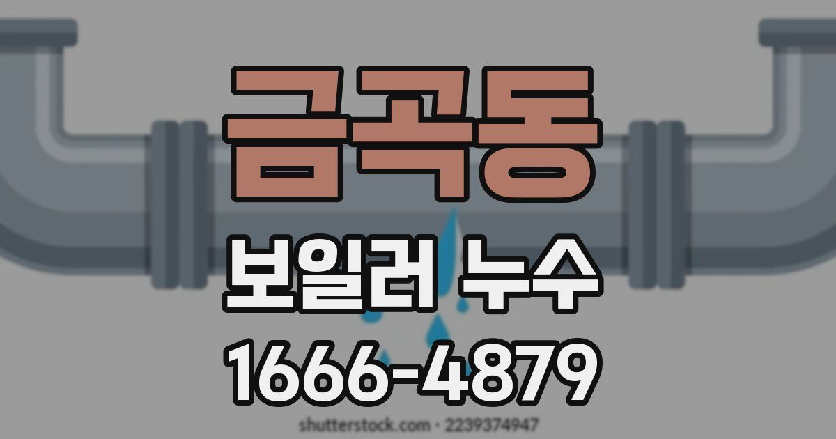 금곡동 보일러 누수