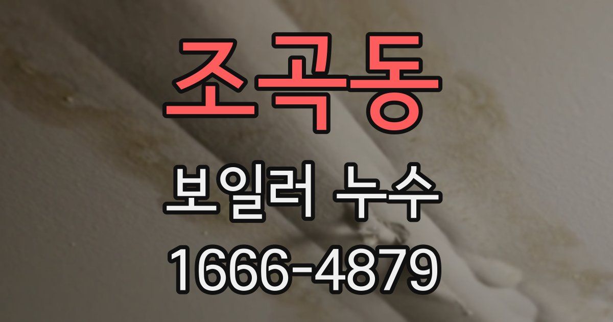 조곡동 보일러 누수