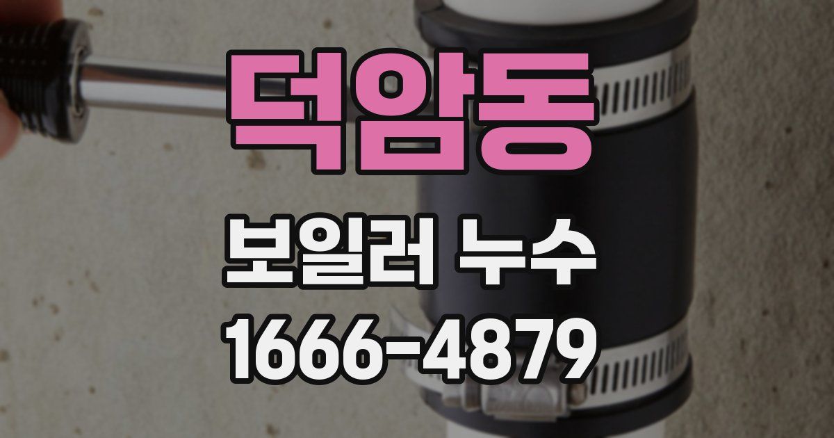 덕암동 보일러 누수