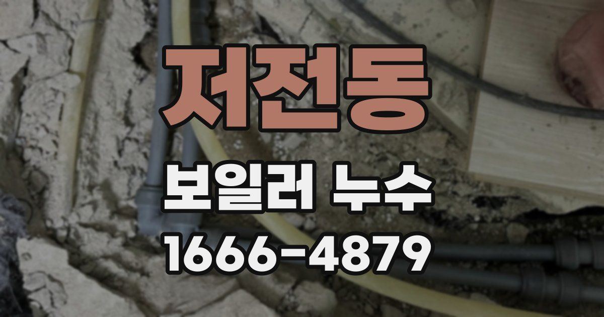 저전동 보일러 누수