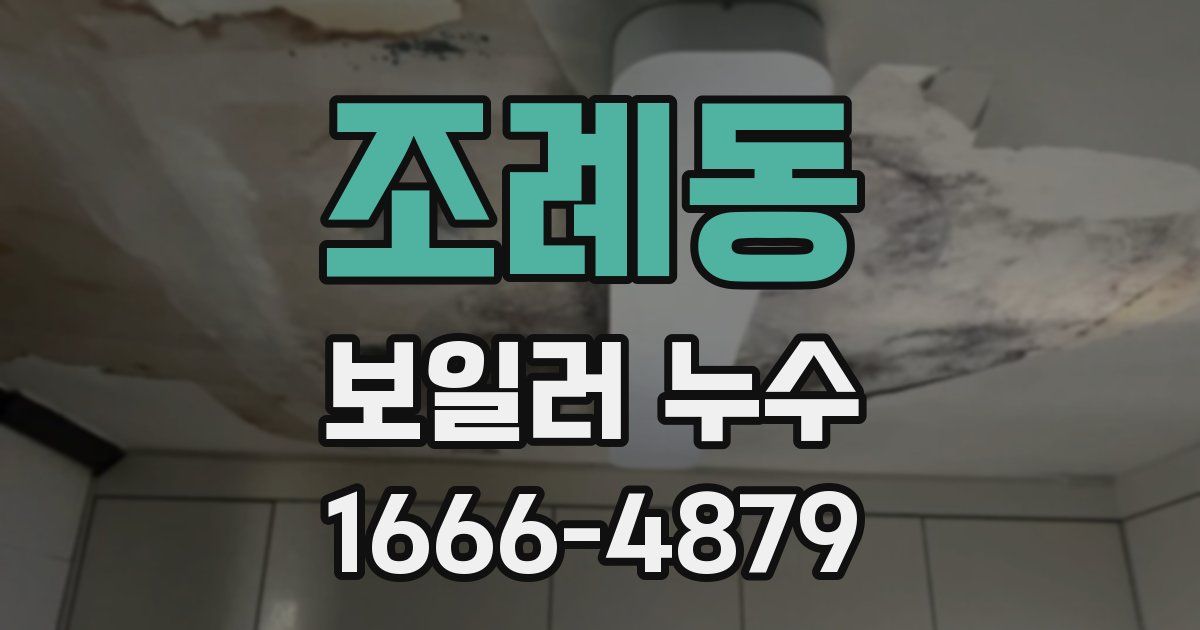 조례동 보일러 누수