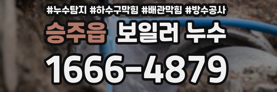 승주읍 보일러 누수