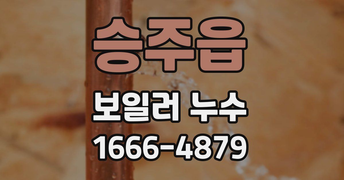 승주읍 보일러 누수
