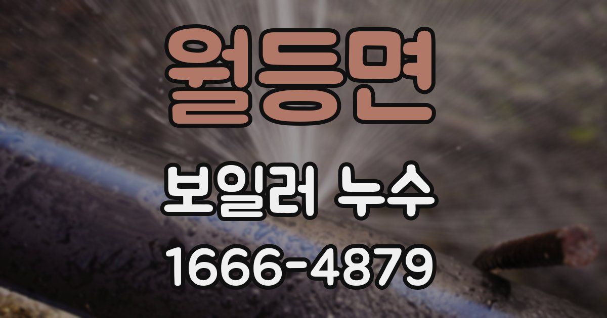 월등면 보일러 누수